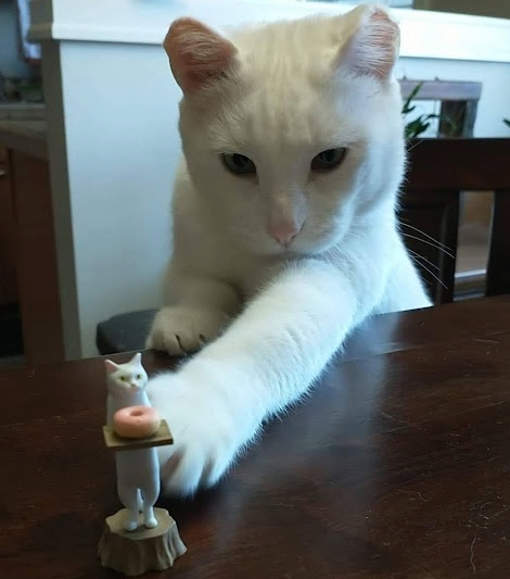 Moses touching cat figure